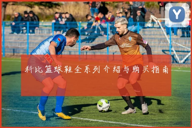 科比篮球鞋全系列介绍与购买指南
