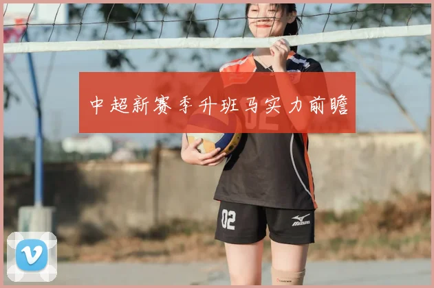 中超新赛季升班马实力前瞻